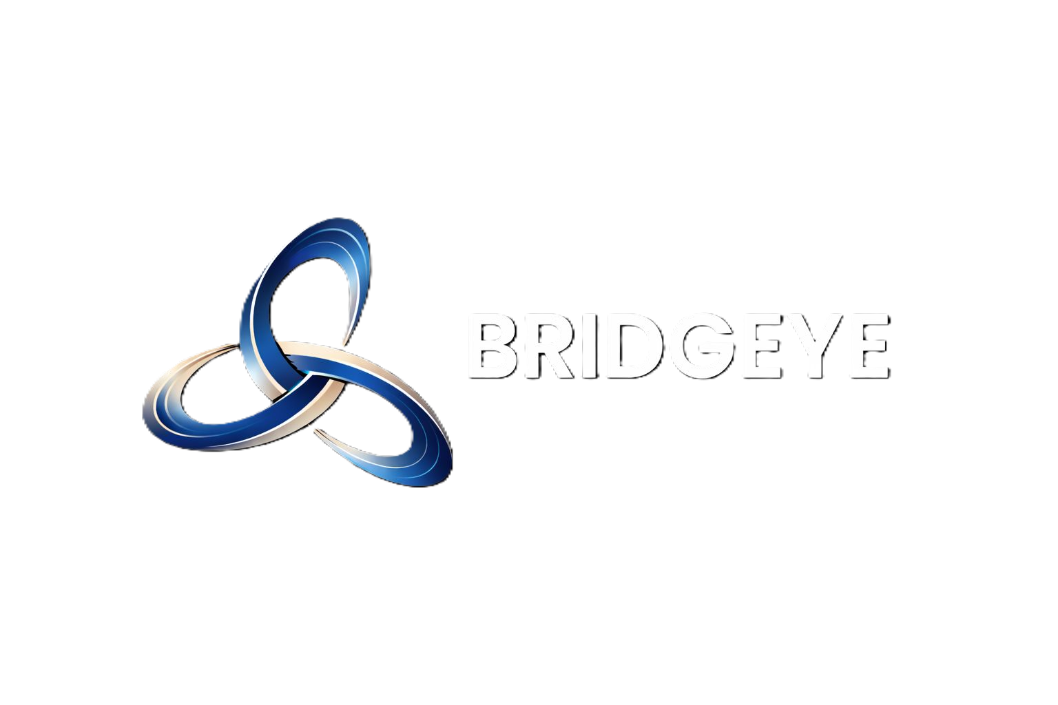 Bridgeye Logo